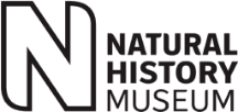 National History Museum